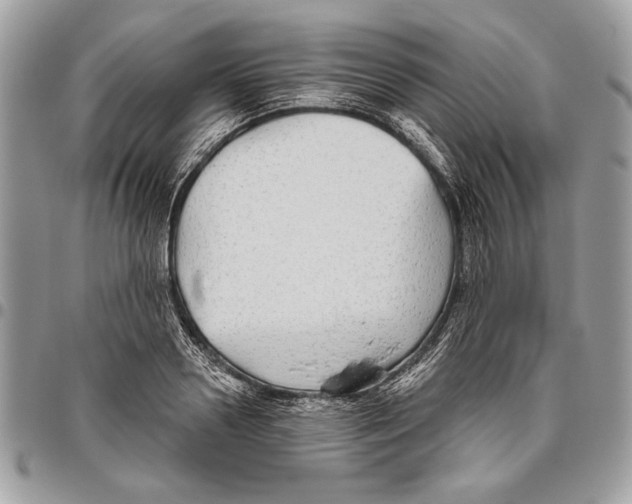 X0000095880938200802081051