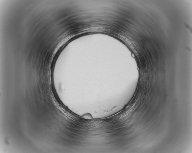 X0000095880939200802081051