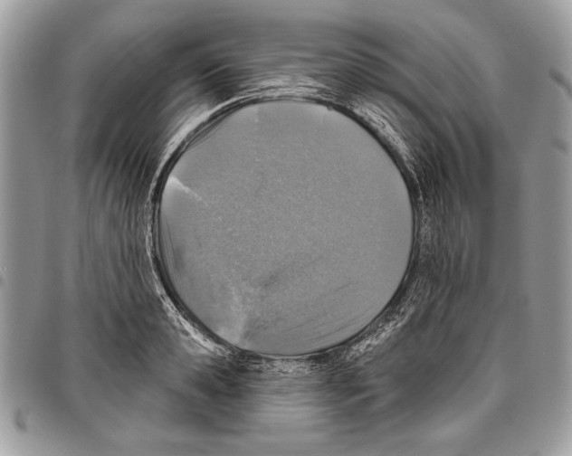 X0000095880941200802081051