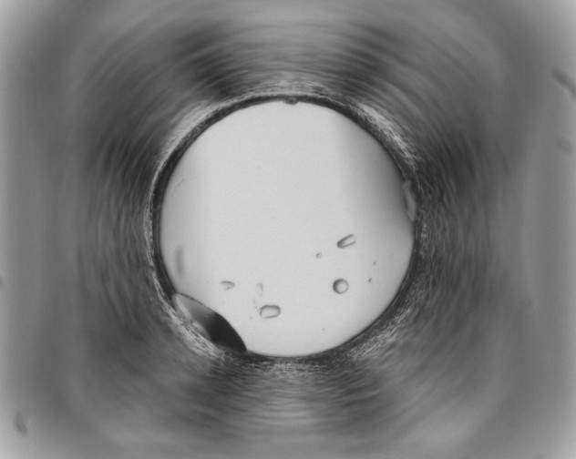 X0000095880942200802081051