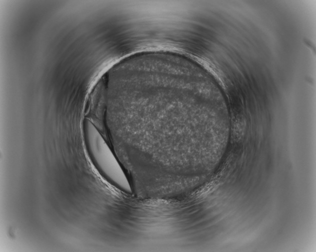 X0000095880943200802081051