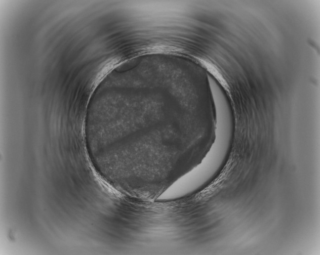 X0000095880946200802081051