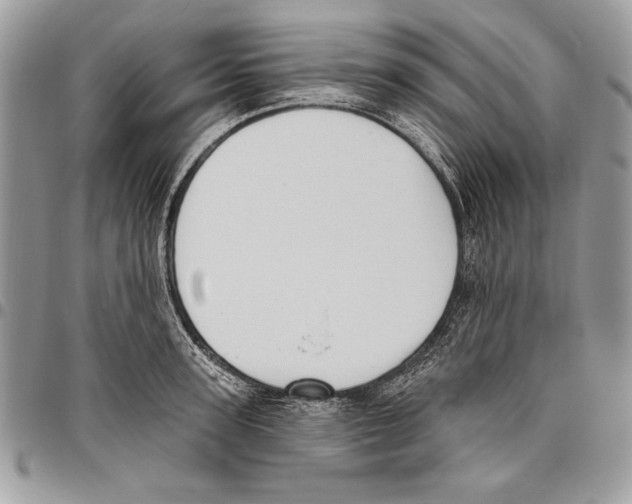 X0000095880947200802081051