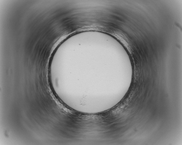 X0000095880949200802081051