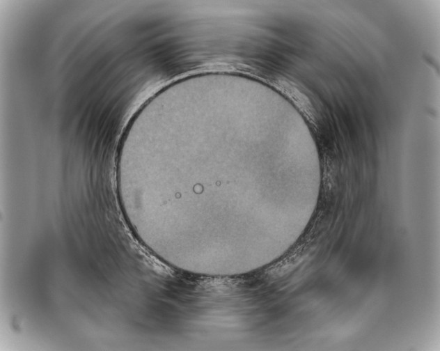 X0000095880950200802081051