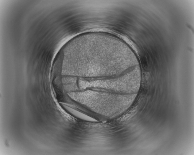 X0000095880951200802081051