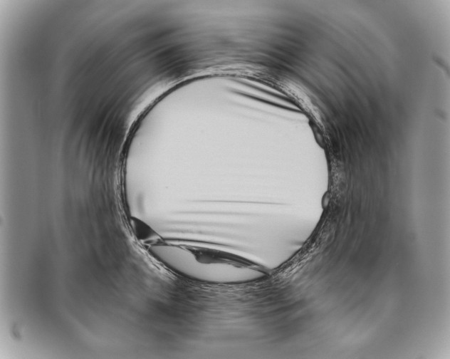 X0000095880952200802081051