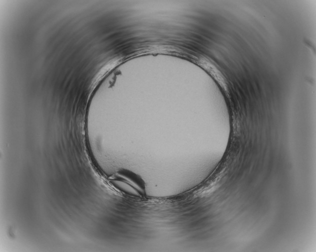 X0000095880954200802081051