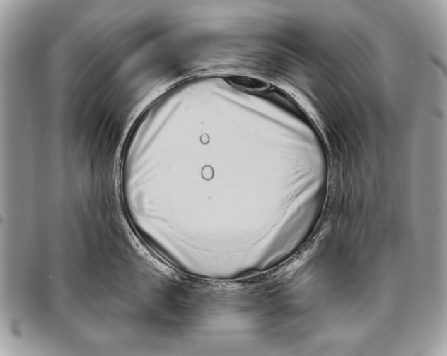 X0000095880957200802081051