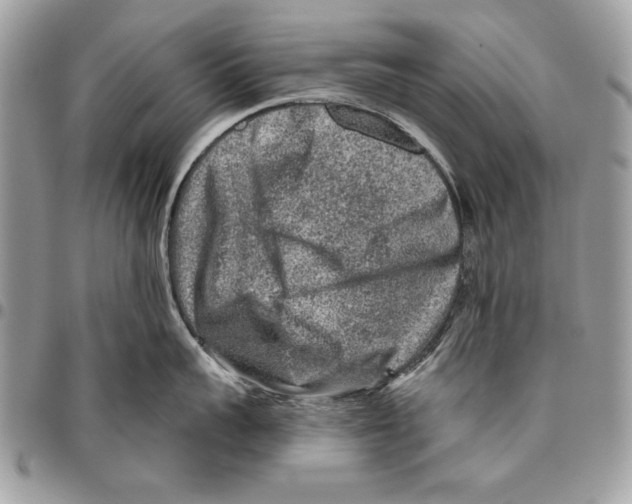 X0000095880959200802081051