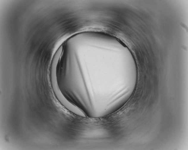 X0000095880960200802081051