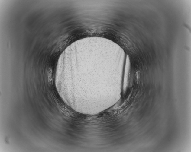 X0000095880963200802081051