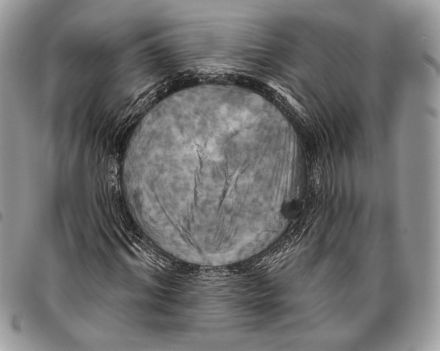 X0000095880964200802081051