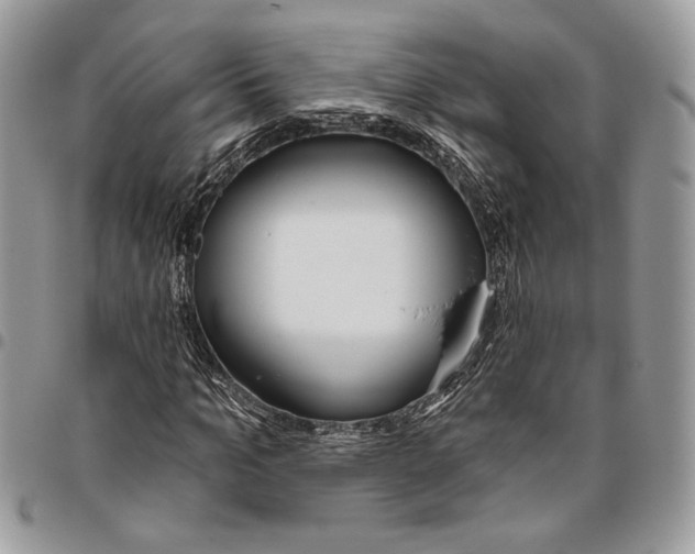 X0000095880965200802081051