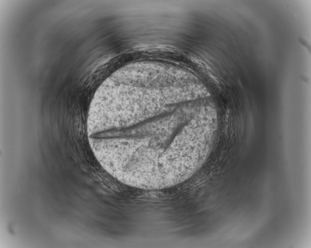 X0000095880966200802081051