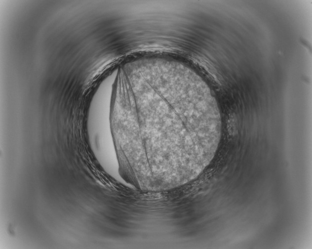 X0000095880968200802081051