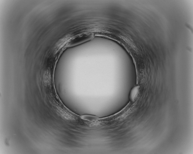 X0000095880969200802081051