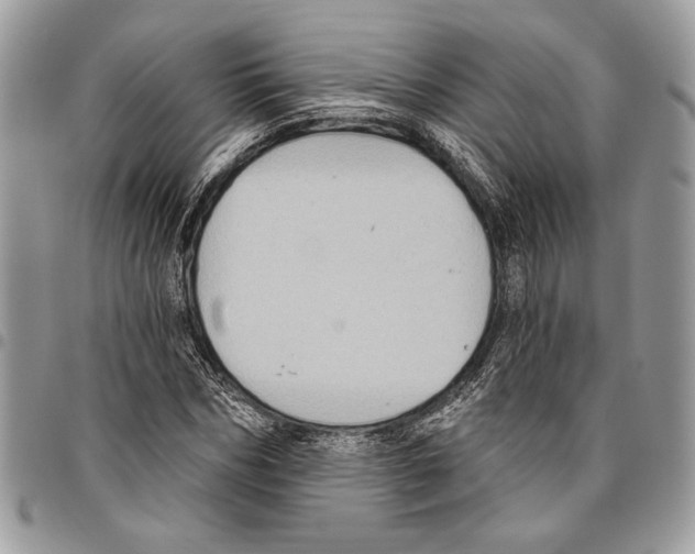 X0000095880970200802081051