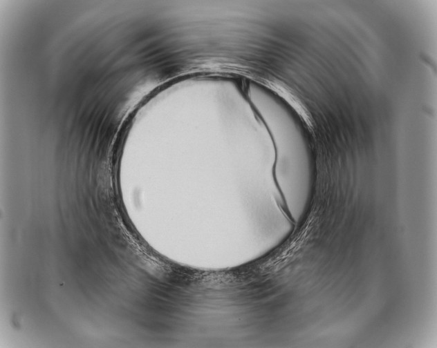 X0000095880972200802081051