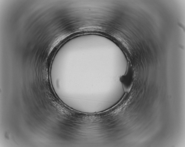 X0000095880973200802081051