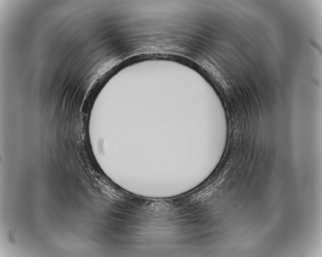 X0000095880974200802081051