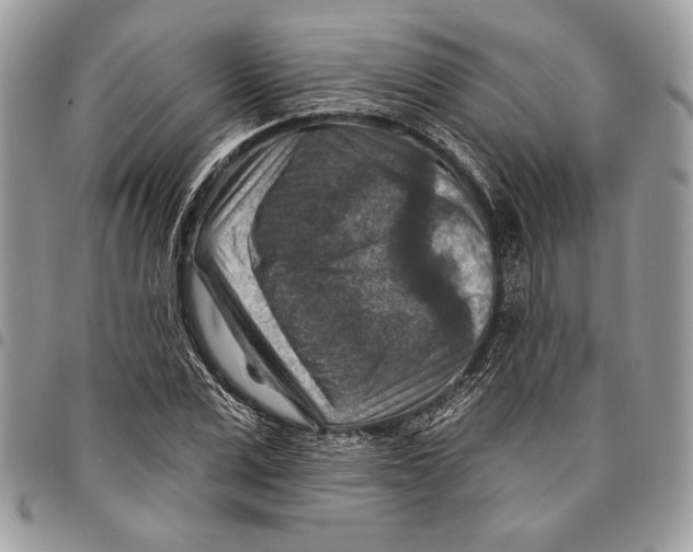 X0000095880975200802081051