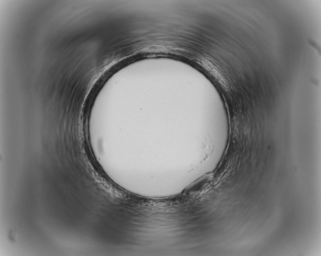 X0000095880976200802081051