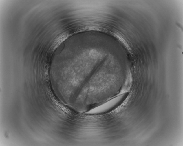 X0000095880977200802081051