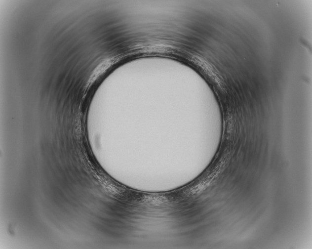 X0000095880978200802081051