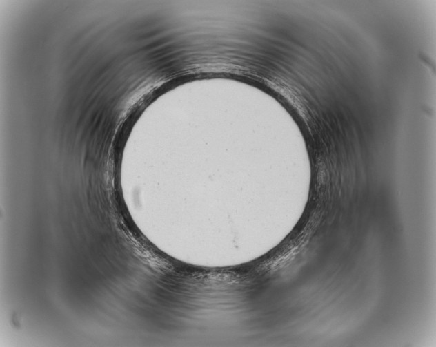 X0000095880979200802081051