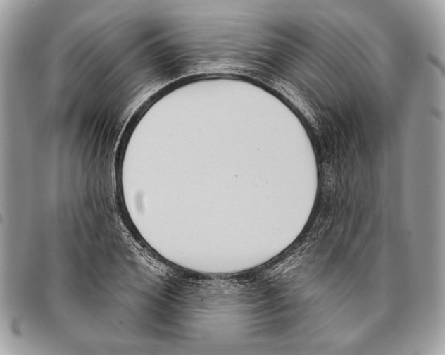 X0000095880980200802081051