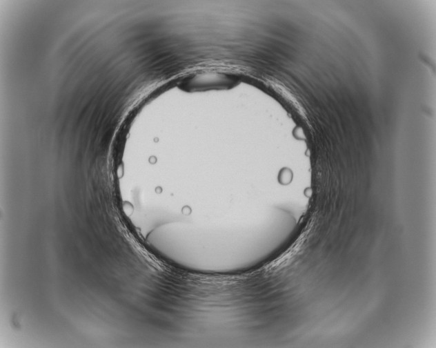 X0000095880981200802081051