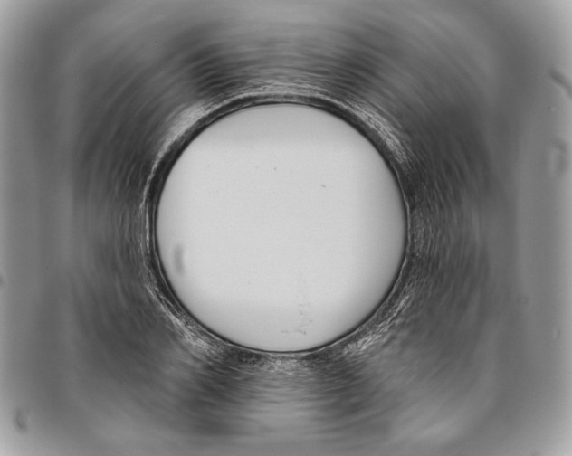 X0000095880982200802081051