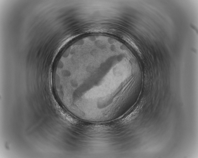 X0000095880984200802081051