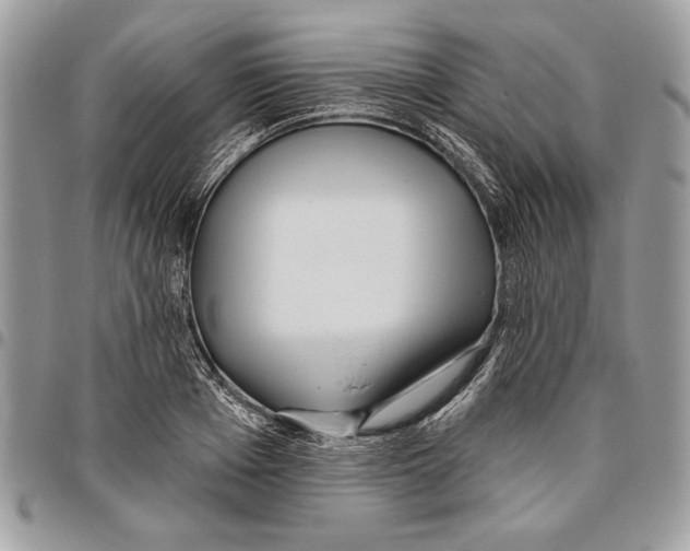 X0000095880985200802081050