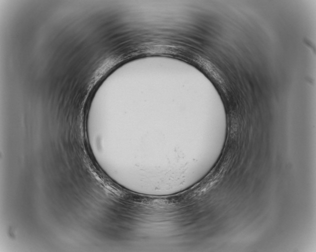 X0000095880986200802081050