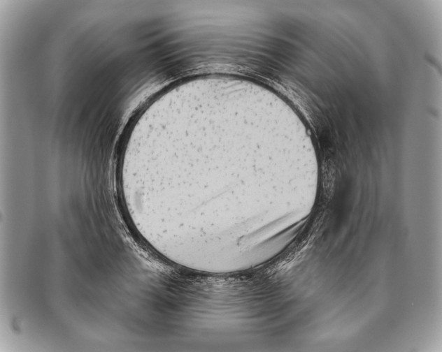 X0000095880987200802081050