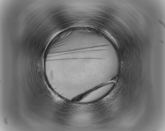 X0000095880988200802081050