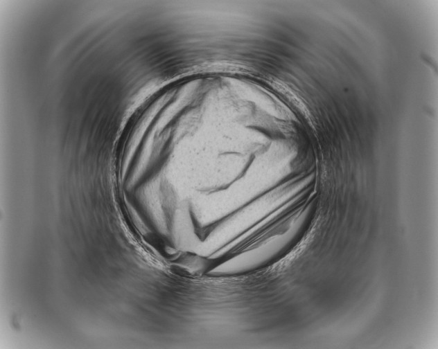 X0000095880989200802081050