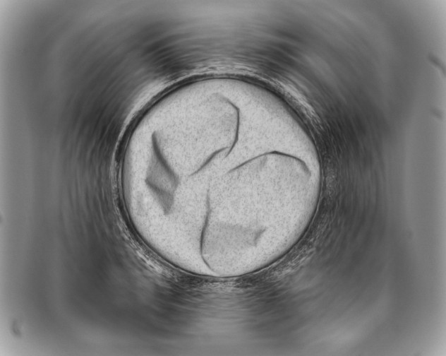 X0000095880990200802081050