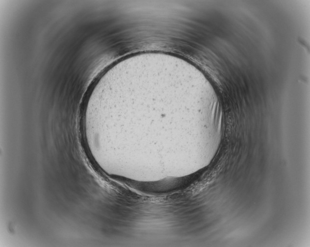 X0000095880991200802081050