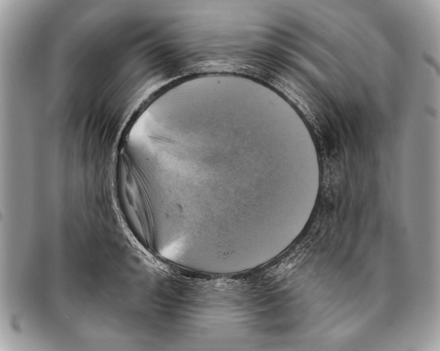 X0000095880992200802081050