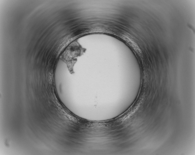 X0000095880993200802081050