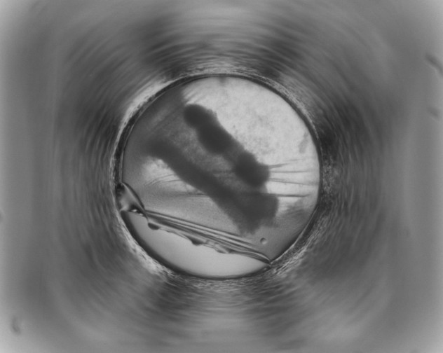 X0000095880995200802081050