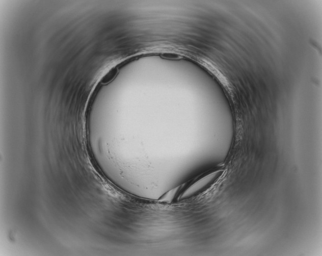 X0000095880996200802081050