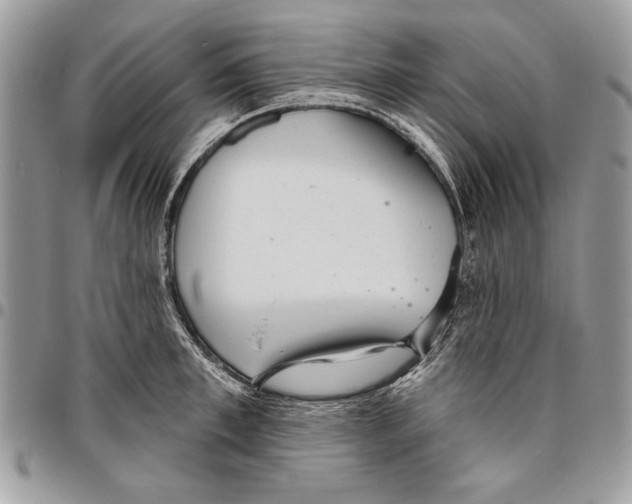 X0000095880997200802081050