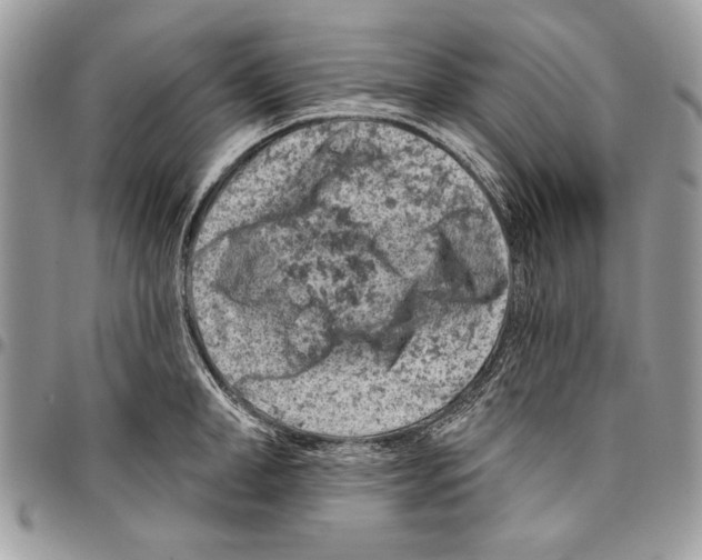 X0000095880998200802081050