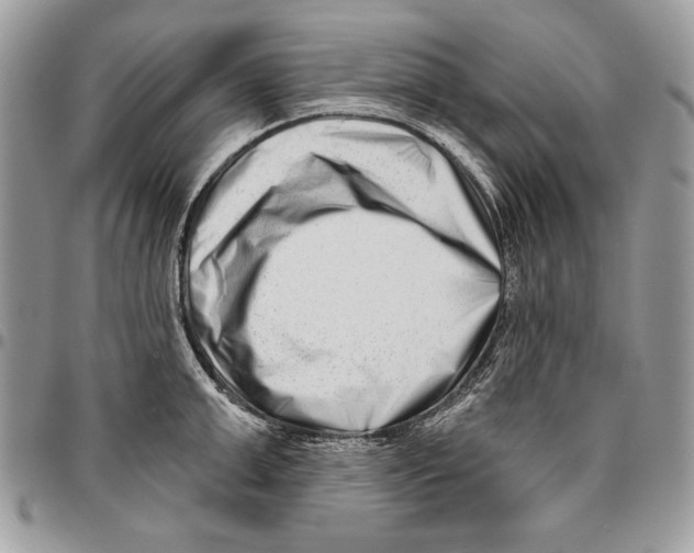 X0000095880999200802081050