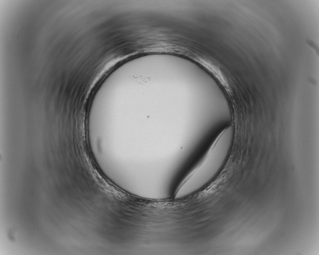 X0000095881000200802081050