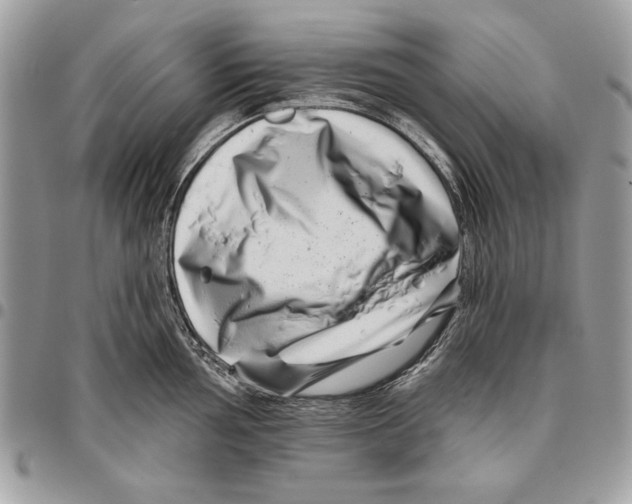 X0000095881002200802081050